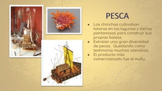 ● Los chinchas cultivaban
totoras en las lagunas y tierras
pantanosas para construir sus
propias balsas.
● Extraían una gran diversidad
de peces. Quedando como
testimonio muchos utensilios.
● El producto más
comercializado fue el mullu.
PESCA
 