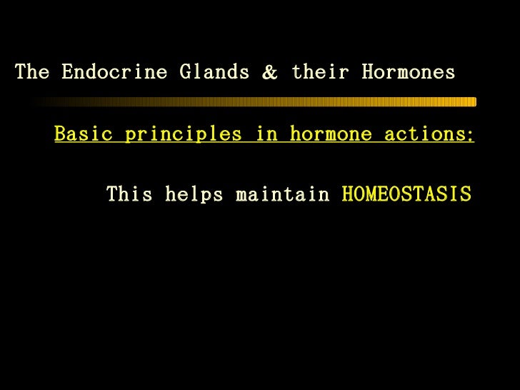 48241294 sistem-endokrine