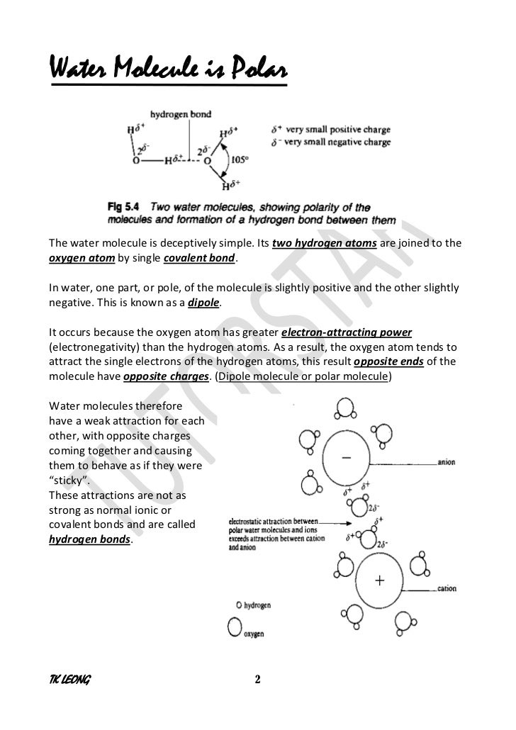 water molecule research paper