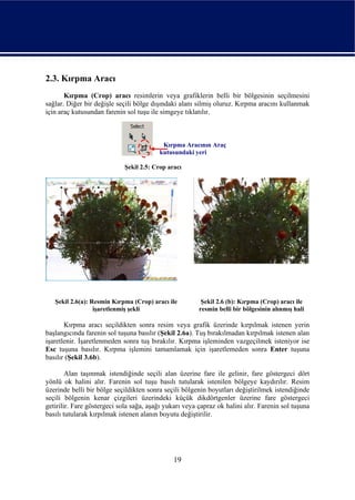 2.3. Kırpma Aracı
       Kırpma (Crop) aracı resimlerin veya grafiklerin belli bir bölgesinin seçilmesini
sağlar. Diğer bir değişle seçili bölge dışındaki alanı silmiş oluruz. Kırpma aracını kullanmak
için araç kutusundan farenin sol tuşu ile simgeye tıklatılır.



                                          Kırpma Aracının Araç
                                         kutusundaki yeri

                             Şekil 2.5: Crop aracı




   Şekil 2.6(a): Resmin Kırpma (Crop) aracı ile          Şekil 2.6 (b): Kırpma (Crop) aracı ile
                  işaretlenmiş şekli                    resmin belli bir bölgesinin alınmış hali

       Kırpma aracı seçildikten sonra resim veya grafik üzerinde kırpılmak istenen yerin
başlangıcında farenin sol tuşuna basılır (Şekil 2.6a). Tuş bırakılmadan kırpılmak istenen alan
işaretlenir. İşaretlenmeden sonra tuş bırakılır. Kırpma işleminden vazgeçilmek isteniyor ise
Esc tuşuna basılır. Kırpma işlemini tamamlamak için işaretlemeden sonra Enter tuşuna
basılır (Şekil 3.6b).

        Alan taşınmak istendiğinde seçili alan üzerine fare ile gelinir, fare göstergeci dört
yönlü ok halini alır. Farenin sol tuşu basılı tutularak istenilen bölgeye kaydırılır. Resim
üzerinde belli bir bölge seçildikten sonra seçili bölgenin boyutları değiştirilmek istendiğinde
seçili bölgenin kenar çizgileri üzerindeki küçük dikdörtgenler üzerine fare göstergeci
getirilir. Fare göstergeci sola sağa, aşağı yukarı veya çapraz ok halini alır. Farenin sol tuşuna
basılı tutularak kırpılmak istenen alanın boyutu değiştirilir.




                                               19
 