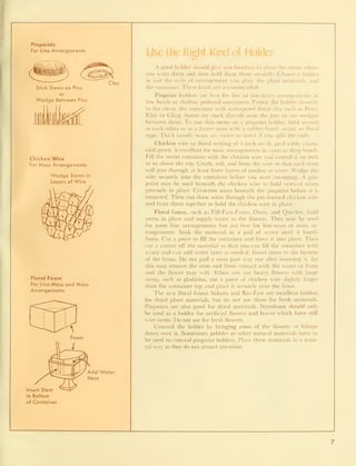Pinpoints
For Line Arrangements
Stick Stems on Pins
or
Wedge Between Pins
Clay
Chicken Wire
For Mass Arrangements
Wedge Stems in
Layers of Wire
Floral Foam
For Line-Mass and Mass
Arrangements
^y Add Water
Here
Insert Stem
to Bottom
of Container
Use the Right Kind of Holder
A good holder should give you freedom to place the stems where
you want them and then hold them there securely. Choose a holder
to suit the style of arrangement you plan, the plant materials, and
the container. These kinds are recommended :
Pinpoint holders are best for line or line-mass arrangements in
low bowls or shallow pedestal containers. Fasten the holder securely
to the clean, dry container with waterproof floral clay such as Posey
Klay or Cling. Stems are stuck directly onto the pins or are wedged
between them. To put thin stems on a pinpoint holder, bind several
to each other or to a larger stem with a rubber band, string, or floral
tape. Thick woody stems are easier to insert if you split the ends.
Chicken wire or floral netting of 1-inch mesh, preferably enam-
eled green, is excellent for mass arrangements in vases or deep bowls.
Fill the entire container with the chicken wire and extend it an inch
or so above the top. Crush, roll, and form the wire so that each stem
will pass through at least three layers of meshes or wires. Wedge the
wire securely into the container before you start arranging. A pin-
point may be used beneath the chicken wire to hold vertical stems
precisely in place. Crisscross wires beneath the pinpoint before it is
mounted. Then run these wires through the pre-formed chicken wire
and twist them together to hold the chicken wire in place.
Floral foams, such as Fill-Fast-Foam, Oasis, and Quickee, hold
stems in place and supply water to the flowers. They may be used
for some line arrangements but are best for line-mass or mass ar-
rangements. Soak the material in a pail of water until it barely
floats. Cut a piece to fill the container and force it into place. Then
cut a corner off the material so that you can fill the container with
water and can add water later as needed. Insert stems to the bottom
of the foam. Do not pull a stem part way out after inserting it, for
this may remove the stem end from contact with the water or foam
and the flower may wilt. When you use heavy flowers with large
stems, such as gladiolus, cut a piece of chicken wire slightly larger
than the container top and place it securely over the foam.
The new floral foams Sahara and Bar-Fast are excellent holders
for dried plant materials, but do not use them for fresh materials.
Pinpoints are also good for dried materials. Styrofoam should only
be used as a holder for artificial flowers and leaves which have stiff
 ire stems. Do not use for fresh flowers.
Conceal the holder by bringing some of the flowers or foliage
down over it. Sometimes pebbles or other natural materials have to
be used to conceal pinpoint holders. Place these materials in a natu-
ral way so they do not attract attention.
 