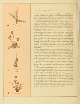 Line Arrangements
Line arrangements are adaptations of Japanese styles. The linear
quality of a few branches, leaves, or flowers is emphasized to produce
a clean-cut, sparse look. The spaces between the plant materials are
nearly as important as the materials themselves. Color is of less
concern than line, shape, space, and expressiveness.
Successful line arrangements develop a dynamic feeling of ac-
tion, movement, life. At the same time, the spaces stimulate con-
templation and imagination in the viewer. Line arrangements en-
courage creative experimentation and originality because they are
based on the natural lines and spaces of the plant material and do
not copy stiff geometric designs.
Many line arrangements have three lines or placements. Often
all three lines are of the same material, but you may select one kind
of material for two lines and another for the third. Although this
third placement may be fuller and more colorful, it must not detract
from the strong linear effect. To avoid the cluttered look, remove
leaves of flowers that interfere with the main lines, which are often
slender, thin, and flowing. Select thicker, fuller materials to develop
a strong, sturdy effect. Do not feel restricted to three lines or place-
ments. Try arrangements with two lines or five or seven. Study plant
materials and use them as they grow. As you make many line ar-
rangements, you will begin to develop your own free-style or free-
form designs.
Most linear arrangements have asymmetrical balance; that is,
one side is different from the other. They are to be viewed only
from the front. Allowing some materials to extend toward the front
and some toward the back usually develops considerable depth
(third dimension). Line arrangements may be tall in relatively
small containers and still have good balance since so little material
is used. Most have vertical movement, but tr>' diagonal, circular, or
horizontal rhythms.
Pinpoint holders are best. Low. flat bowls, compotes, or pedestal
bowls are good containers. Vases may be used if the pinpoint is
mounted near the top by filling the vase almost full of sand or fine
gravel.
To achieve the desired natural effect, place all the stems close
together on the pinpoint. Let the stems start out together and extend
in the same direction for several inches before branching out. Try
to select materials that have just the curves you want.
How to bend stems or branches. You can bend straight stems
if you have patience. Trim off unwanted side branches and leaves.
Then hold the branch with both hands, thumbs touching under-
neath the stem, and fingers grasping the stem above the thumbs.
Press down gently with your fingers and push up with your thumbs
at the same time. Move hands toward the ends of the stem slowly
to avoid breaking. Repeat many times to get the curve you want.
Soak stiff woody stems for several hours before bending, then fasten
them to a board in the desired position until they dry.
8
 
