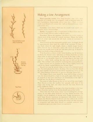 Branch Before and
After Trimming
Arrows
ndicate
Facing
Top View
Making a Line Arrangement
Plant materials needed. Two long branches and a few short
branches of a shrub, tree, or evergreen (such as burning bush, flo-
rist's huckleberry, honeysuckle, privet, yew, etc.). Three to seven
small round flowers of various sizes (such as chrysanthemum, mari-
gold, zinnia, etc.)
Container. A low bowl, which may be round, oval, square, rec-
tangular, or free form in shape.
Holder. A pinpoint is best. A small block of floral foam may be
used, but it may fall over unless wedged in place.
Procedure. Mount the pinpoint with floral clay in the center or
slightly back of the center of a round container. Mount the holder
back of center and toward the left back corner of containers of
other shapes.
Select branch one for its graceful upright curve; its length should
be approximately three times the width of the container. If there is
any doubt about the right length, choose a slightly longer branch.
Select branch two to somewhat repeat the curve of branch one.
Branch two should curve to the left and then point up. It should be
about two-thirds as long as branch one.
Trim branches as shown at left. Some bending may be necessary
to obtain the desired curve. Split bases of thicker branches to make
them easier to stick on pinpoint. If the base of the stem is thin, at-
tach one or two branches about 2 or 3 inches long to the base with
tape or a rubber band, making the stem easy to stick on the pin-
point. This method is also useful for anchoring thin-stemmed flowers.
Insert branch one on pinpoint so that it leans slightly backward
with its tip (head) arched directly over its base (foot).
Branch two may be placed either in front of or behind branch
one. Try both placements before deciding. The two branches should
be close together for several inches before branch two curv-es to the
left. Note positions of branches in top-view drawing (lower left)
The longest flower stem should be about half as long as branch
two; the flower should be a bud or only partly open. Stick this stem
on pinpoint so that stem and flower are immediately to the right of
branch one. Let the flower or bud face up.
Cut stems of other flowers so that no two are of the same length.
Place flowers so that the smallest face upward, with some of the
larger ones facing right and others forward. Let some flowers be
partly hidden by others.
Finish arrangement by placing a few short branches at the base.
These branches and the lower flowers should conceal the holder.
This is but one of the many, many ways of making line arrange-
ments. As you select plant material, you may choose branches with
straight, curved, diagonal, or zig-zag stems. Large arrangements re-
quire large flowers; miniature arrangements with dainty branches
require tiny flowers. Instead of flowers you may wish to use another
kind of branch or some leaves. During the winter use bare branches
or evergreens and some dried flowers or roadside materials. Line
arrangements give you a real chance to experiment.
 