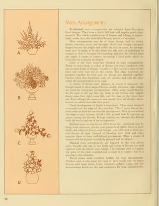Mass Arrangements
Traditional mass arrangements are adapted from European
floral designs. They have a thick, full look and require much plant
material. The whole colorful mass of flowers and foliages is empha-
sized, rather than the individual flowers, leaves, or branches.
Mass arrangements may be of many shapes, such as circles,
domes, crescents, ovals, and triangles. Ovals and triangles are good
shapes because the height and width are not the same. An arrange-
ment may be made to be seen from one side only, or completed all
around so that it becomes free-standing and may be viewed from
any angle. A center of interest containing a focal point which at-
tracts the eye is usually developed.
Color is the most important element in mass arrangements.
Three or more kinds or colors of flowers are often combined with
one or more kinds of foliage. Usually it is best to select more of one
kind and color and less of the others. The plant materials are
grouped together by kind and the groups are blended together.
Choose colors that harmonize with one another and with the place
where the arrangement is to be used.
A variety of flower sizes, textures, or shapes is necessary. Al-
though round or spray-shaped flowers usually dominate, spiky shapes
are good for triangular arrangements. When using round flowers,
let the ones at the top face up, those at the bottom face slightly
down, some face right, some left, and the ones in the center face
out. Even though the stems are not usually seen, all should radiate
or seem to radiate from the focal point.
Good development of depth is important. Allow some material
to extend over the edge of the container. "Bury" some flowers be-
hind others to lead the eye into the arrangement. Plan spaces around
the edges to give airiness. Avoid a flat, pressed look by opening up
spaces among the flowers. Foliage coming out between the flowers
leads the eye in and out of the arrangement.
Stylized mass arrangements differ from the traditional ones by
being more clean-cut, precise, and geometrical. Select three or more
kinds and colors of flowers and foliages; you will need at least sev-
eral flowers of each. Instead of blending each kind and color,
separate them to form well-defined placements. Often a center of
interest with focal point is carefully planned and developed.
Natural mass arrangements are inspired by the way plants
grow. Usually only one or two kinds and colors of flowers are used
together with the plants' own foliage. The arranger tries to capture
the spirit of the plant material and arrange it to suggest that it is
growing in the container.
Floral foams make excellent holders for mass arrangements.
Chicken wire is also good for vases or deep bowls and for hea7
flowers with large stems. Urns, compotes, goblets, vases, and me-
dium-to-deep bowls are the best containers for mass arrangements.
10
 