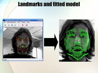 Landmarks and fitted model
 