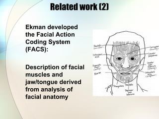 Related work (2)
Ekman developed
the Facial Action
Coding System
(FACS):
Description of facial
muscles and
jaw/tongue derived
from analysis of
facial anatomy
 