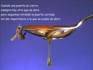 Cuando una puerta se cierra,  siempre hay otra que se abre  pero seguimos mirando la puerta cerrada  sin dar importancia a la que se acaba de abrir 