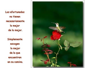 Los afortunados  no tienen  necesariamente lo mejor  de lo mejor. Simplemente  escogen  lo mejor de lo que  encuentran  en su camino. 