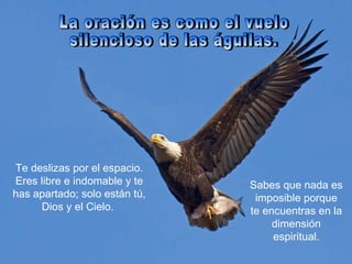 La oración es como el vuelo  silencioso de las águilas. Sabes que nada es imposible porque te encuentras en la dimensión espiritual. Te deslizas por el espacio. Eres libre e indomable y te has apartado; solo están tú, Dios y el Cielo.  