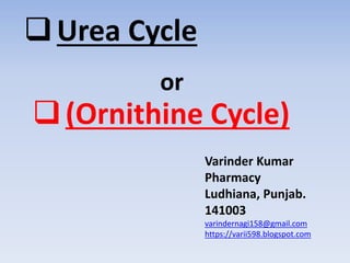 Urea Cycle
Varinder Kumar
Pharmacy
Ludhiana, Punjab.
141003
varindernagi158@gmail.com
https://varii598.blogspot.com
or
(Ornithine Cycle)
 