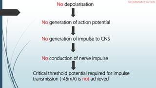 No depolarisation
No generation of action potential
No generation of impulse to CNS
No conduction of nerve impulse
Critical threshold potential required for impulse
transmission (-45mA) is not achieved
MECHANISM OF ACTION
 