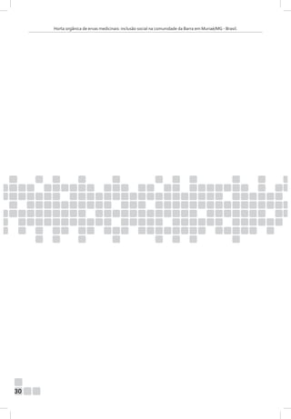 Horta orgânica de ervas medicinais: inclusão social na comunidade da Barra em Muriaé/MG - Brasil.

30

 