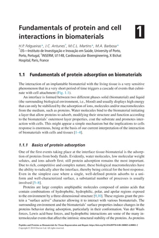 Peptides and Proteins as Biomaterials for Tissue Regeneration and ...