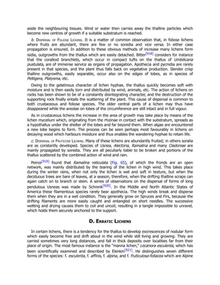 aside the neighbouring tissues. Wind or water then carries away the thalline particles which
become new centres of growth if a suitable substratum is reached.
b. Dispersal of Foliose Lichens. It is a matter of common observation that, in foliose lichens
where fruits are abundant, there are few or no soredia and vice versa. In either case
propagation is ensured. In addition to these obvious methods of increase many lichens form
isidia, outgrowths from the thallus which are easily detached. Bitter[918] considers for instance
that the coralloid branchlets, which occur in compact tufts on the thallus of Umbilicaria
pustulata, are of immense service as organs of propagation. Apothecia and pycnidia are rarely
present in that species, and the plant thus falls back on vegetative production. Slender crisp
thalline outgrowths, easily separable, occur also on the edges of lobes, as in species of
Peltigera, Platysma, etc.
Owing to the gelatinous character of lichen hyphae, the thallus quickly becomes soft with
moisture and is then easily torn and distributed by wind, animals, etc. The action of lichens on
rocks has been shown to be of a constantly disintegrating character, and the destruction of the
supporting rock finally entails the scattering of the plant. This cause of dispersal is common to
both crustaceous and foliose species. The older central parts of a lichen may thus have
disappeared while the areolae on lobes of the circumference are still intact and in full vigour.
As in crustaceous lichens the increase in the area of growth may take place by means of the
lichen mycelium which, originating from the rhizinae in contact with the substratum, spreads as
a hypothallus under the shelter of the lobes and far beyond them. When algae are encountered
a new lobe begins to form. The process can be seen perhaps most favourably in lichens on
decaying wood which harbours moisture and thus enables the wandering hyphae to retain life.
c. Dispersal of Fruticose Lichens. Many of these lichens are abundantly fruited; in others soralia
are as constantly developed. Species of Usnea, Alectoria, Ramalina and many Cladoniae are
mainly propagated by soredia. They are all peculiarly liable to be broken and portions of the
thallus scattered by the combined action of wind and rain.
Peirce[919] found that Ramalina reticulata (Fig. 65), of which the fronds are an open
network, was mainly distributed by the tearing of the lichen in high wind. This takes place
during the winter rains, when not only the lichen is wet and soft in texture, but when the
deciduous trees are bare of leaves, at a season, therefore, when the drifting thalline scraps can
again catch on to branch or stem. A series of observations on the dispersal of forms of long
pendulous Usneas was made by Schrenk[920]. In the Middle and North Atlantic States of
America these filamentous species rarely bear apothecia. The high winds break and disperse
them when they are in a wet condition. They generally grow on Spruces and Firs, because the
drifting filaments are more easily caught and entangled on short needles. The successive
wetting and drying causes them to coil and uncoil, resulting in a tangle impossible to unravel,
which holds them securely anchored to the support.
D. Erratic Lichens
In certain lichens, there is a tendency for the thallus to develop excrescences of nodular form
which easily become free and drift about in the wind while still living and growing. They are
carried sometimes very long distances, and fall in thick deposits over localities far from their
place of origin. The most famous instance is the “manna lichen,” Lecanora esculenta, which has
been scientifically examined and described by Elenkin[921]. He distinguishes seven different
forms of the species: f. esculenta, f. affinis, f. alpina, and f. fruticulosa-foliacea which are Alpine
 
