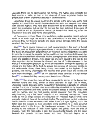 caperata, there was no spermogonial wall formed. The hyphae also penetrate the
host soredia or isidia, so that on the dispersal of these vegetative bodies the
perpetuation of both organisms is secured in the new growth.
Abrothallus draws its organic food from the gonidia in the same way as the host
species, and possibly the parasitic hyphae obtain also water and inorganic food along
with the host hyphae. They have been traced down to the rhizinae and may even
reach the hypothallus, but no injury to the host has been detected. It is a case of
joint symbiosis and not of parasitism. Microscopic research has therefore justified the
inclusion of these and other forms among lichens.
d. Parasymbiosis of Fungi. There occur on lichens, certain parasites classed as fungi
which at an early stage are more or less parasymbionts of the host; as growth
advances they may become parasitic and cause serious damage, killing the tissues
on which they have settled.
Zopf[950] found several instances of such parasymbiosis in his study of fungal
parasites, such as Rhymbocarpus punctiformis, a minute Discomycete which inhabits
the thallus of Rhizocarpon geographicum. By means of staining reagents he was able
to trace the course of the parasitic hyphae, and found that they travelled towards the
gonidia and clasped them lichen-wise without damaging them, since these remained
green and capable of division. At no stage was any harm caused to the host by the
alien organism. Another instance he observed was that of Conida rubescens on the
thallus of Rhizocarpon epipolium. By means of fine sections through the apothecia of
Conida and the thallus of the host, he proved the presence of numerous gonidia in
the subhymenial tissue, these being closely surrounded by the hyphae of the
parasite, and entirely undamaged: they retained their green colour, and in size and
form were unchanged. Zopf[951] at first described these parasites as fungi though
later[951] he allows that they may represent lower forms of lichens.
Tobler[952] has added two more of these parasymbiotic species on the border line
between lichens and fungi, similar to those described by Zopf. One of these,
Phacopsis vulpina, belonging to the fungus family Celidiaceae, is parasitic on Letharia
vulpina. The fronds of the host plant are considerably altered in form by its presence,
being more branched and curly. Where the parasite settles a swelling arises filled
with its hyphae, and the host gonidia almost disappear from the immediate
neighbourhood, only a few “nests” being found and these very mucilaginous. These
nests as well as single gonidia are surrounded by Phacopsis hyphae which have
gradually displaced those of the Letharia thallus. The gonidia are excited to division
and increase in number on contact with either lichen or fungus hyphae, but in the
latter case the increase is more abundant owing doubtless to a more powerful
chemical irritant in the fungus. As development advances, the Phacopsis hyphae
multiply to the exclusion of both lichen hyphae and gonidia from the area of
invasion. Finally the host cortex is split, the fungus bursts through, and the tissue
beneath the parasite becomes brown and dead. Phacopsis begins as a
 