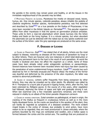 the gonidia in the vicinity may remain green and healthy, or all the tissues in the
immediate neighbourhood of the parasite may be killed.
f. Mycetozoa Parasitic on Lichens. Mycetozoa live mostly on decayed wood, leaves,
humus, etc. One minute species, Listerella paradoxa, always inhabits the podetia of
Cladonia rangiferina. Another species, Hymenobolina parasitica, was first detected
and described by Zukal[962] as a true parasite on the thallus of Physciaceae; it has
since been recorded in the British Islands on Parmeliae[963]. This peculiar organism
differs from other mycetozoa in that the spores on germination produce amoebae.
These unite to form a rose-red plasmodium which slowly burrows into the lichen
thallus and feeds on the living hyphae. It is a minute species, but when abundant
the plasmodia can just be detected with the naked eye as rosy specks scattered over
the surface of the lichen. Later the grey sporangia are produced on the same areas.
F. Diseases of Lichens
a. Caused by Parasitism. Zopf[964] has stated that of all plants, lichens are the most
subject to disease, reckoning as diseases all the instances of parasitism by fungi or
by other lichens. There are however only rare instances in which total destruction or
indeed any permanent harm to the host is the result of such parasitism. At worst the
trouble is localized and does not affect the organism as a whole. Some of these
cases have been already noted under antagonistic symbiosis or parasymbiosis.
Several instances have however been recorded where real injury has been caused by
the penetration of some undetermined fungus mycelium. Zukal[965] records two such
observed by him in Parmelia encausta and Physcia villosa: the thallus of the former
was dwarfed and deformed by the presence of the alien mycelium, the latter was
excited to abnormal proliferation.
b. Caused by crowding. Lichens suffer frequently from being overgrown by other
lichens; they may also be crowded out by other plants. My attention was called by
Mr P. Thompson to a burnt plot of ground in Epping Forest, which, after the fire, had
been colonized by Peltigera spuria. In the course of a few years, other vegetation
had followed, depriving the lichen of space and light and gradually driving it out.
When last examined only a few miserable specimens remained, and these were
reduced in vitality by an attack of the lichen parasite Illosporium carneum.
c. Caused by adverse conditions. Zukal considers as pathological, at least in origin, the
cracking of the thallus so frequent in crustaceous lichens as well as in the more
highly developed forms. As the cracks are beneficial in the aeration of the plant, they
can hardly be regarded as symptoms of a diseased condition. The more evident
ringed breaks in the cortex of Usneae, due probably to wind action, have more
reason to be so regarded; they are most pronounced in Usnea articulata, where the
portions bounded by the rings are contracted and swollen, and a hollow space is
formed between the cortex and the central axis. The swellings that are produced on
 