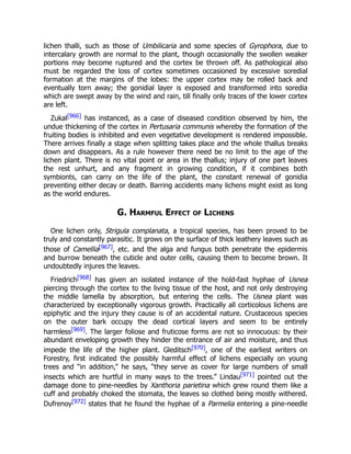 lichen thalli, such as those of Umbilicaria and some species of Gyrophora, due to
intercalary growth are normal to the plant, though occasionally the swollen weaker
portions may become ruptured and the cortex be thrown off. As pathological also
must be regarded the loss of cortex sometimes occasioned by excessive soredial
formation at the margins of the lobes: the upper cortex may be rolled back and
eventually torn away; the gonidial layer is exposed and transformed into soredia
which are swept away by the wind and rain, till finally only traces of the lower cortex
are left.
Zukal[966] has instanced, as a case of diseased condition observed by him, the
undue thickening of the cortex in Pertusaria communis whereby the formation of the
fruiting bodies is inhibited and even vegetative development is rendered impossible.
There arrives finally a stage when splitting takes place and the whole thallus breaks
down and disappears. As a rule however there need be no limit to the age of the
lichen plant. There is no vital point or area in the thallus; injury of one part leaves
the rest unhurt, and any fragment in growing condition, if it combines both
symbionts, can carry on the life of the plant, the constant renewal of gonidia
preventing either decay or death. Barring accidents many lichens might exist as long
as the world endures.
G. Harmful Effect of Lichens
One lichen only, Strigula complanata, a tropical species, has been proved to be
truly and constantly parasitic. It grows on the surface of thick leathery leaves such as
those of Camellia[967], etc. and the alga and fungus both penetrate the epidermis
and burrow beneath the cuticle and outer cells, causing them to become brown. It
undoubtedly injures the leaves.
Friedrich[968] has given an isolated instance of the hold-fast hyphae of Usnea
piercing through the cortex to the living tissue of the host, and not only destroying
the middle lamella by absorption, but entering the cells. The Usnea plant was
characterized by exceptionally vigorous growth. Practically all corticolous lichens are
epiphytic and the injury they cause is of an accidental nature. Crustaceous species
on the outer bark occupy the dead cortical layers and seem to be entirely
harmless[969]. The larger foliose and fruticose forms are not so innocuous: by their
abundant enveloping growth they hinder the entrance of air and moisture, and thus
impede the life of the higher plant. Gleditsch[970], one of the earliest writers on
Forestry, first indicated the possibly harmful effect of lichens especially on young
trees and “in addition,” he says, “they serve as cover for large numbers of small
insects which are hurtful in many ways to the trees.” Lindau[971] pointed out the
damage done to pine-needles by Xanthoria parietina which grew round them like a
cuff and probably choked the stomata, the leaves so clothed being mostly withered.
Dufrenoy[972] states that he found the hyphae of a Parmelia entering a pine-needle
 