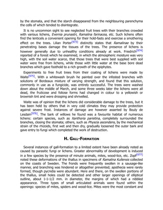 by the stomata, and that the starch disappeared from the neighbouring parenchyma
the cells of which tended to disintegrate.
It is no uncommon sight to see neglected fruit trees with their branches crowded
with various lichens, Evernia prunastri, Ramalina farinacea, etc. Such lichens often
find the lenticels a convenient opening for their hold-fasts and exercise a smothering
effect on the trees. Lilian Porter[973] distinctly states that Ramalinae by their
penetrating bases damage the tissues of the trees. The presence of lichens is
however generally due to unhealthy conditions already at work. Friedrich[974]
reported of a forest which he examined, in which the atmospheric moisture was very
high, with the soil water scarce, that those trees that were best supplied with soil
water were free from lichens, while those with little water at the base bore dead
branches which gave foothold to a rich growth of the epiphytes.
Experiments to free fruit trees from their coating of lichens were made by
Waite[975]. With a whitewash brush he painted over the infested branches with
solutions of Bordeaux mixture of varying strength, and found that this solution,
commonly in use as a fungicide, was entirely successful. The trees were washed
down about the middle of March, and some three weeks later the lichens were all
dead, the fruticose and foliose forms had changed in colour to a yellowish or
brownish tint and were drooping and shrivelled.
Waite was of opinion that the lichens did considerable damage to the trees, but it
has been held by others that in very cold climates they may provide protection
against severe frost. Instances of damage are however asserted by Bouly de
Lesdain[976]. The bark of willows he found was a favourite habitat of numerous
lichens: certain species, such as Xanthoria parietina, completely surrounded the
branches, closing the stomata; others, such as Physcia ascendens, by the mechanical
strain of the rhizoids, first wet and then dry, gradually loosened the outer bark and
gave entry to fungi which completed the work of destruction.
H. Gall-Formation
Several instances of gall-formation to a limited extent have been already noted as
caused by parasitic fungi or lichens. Greater abnormality of development is induced
in a few species by the presence of minute animals, mites, wood-lice, etc. Zopf[977]
noted these deformations of the thallus in specimens of Ramalina Kullensis collected
on the coasts of Sweden. The fronds were frequently swollen in a sausage-like
manner, and branching was hindered or altogether prevented; apothecia were rarely
formed, though pycnidia were abundant. Here and there, on the swollen portions of
the thallus, small holes could be detected and other larger openings of elliptical
outline, about 1-1-1/2 mm. in diameter, the margins of which had a nibbled
appearance. Three types of small articulated animals were found within the
openings: species of mites, spiders and wood-lice. Mites were the most constant and
 