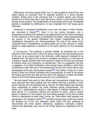 Zahlbruckner may have argued rightly, but it is also possible to regard these rare
desert species as reversions from an originally symbiotic to a purely parasitic
condition. Reinke came to the conclusion that if a parasitic species were derived
directly from a lichen type, then it must still rank as a lichen, a view that has a direct
bearing on the question. The parallel family of Pyrenulaceae which have Trentepohlia
gonidia is considered by Zahlbruckner to have originated from the fungus genus
Didymella.
Compound or stromatoid fructifications occur once and again in lichen families;
but, according to Wainio[985], there is no true stroma formation, only a
pseudostroma resulting from adhesions and agglomerations of the thalline envelopes
or from cohesions of the margins of developing fruit bodies. These pseudostromata
are present in the genera Chiodecton and Glyphis (Graphidineae) and in
Trypethelium, Mycoporium, etc. (Pyrenocarpineae). This view of the nature of the
compound fruits is strengthened, as Wainio points out, by the presence in certain
species of single apothecia or perithecia on the same specimen as the stromatoid
fruits.
b. Coniocarpineae. This subseries is entirely isolated. Its peculiarity lies in the
character of the mature fruit in which the spores, owing to the early breaking down
of the asci, lie as a loose mass in the hymenium, while dispersal is delayed for an
indefinite time. This type of fruit, termed a mazaedium by Acharius, is in the form of
a stalked or sessile roundish head—the capitulum—closed at first and only half-open
at maturity rarely, as in Cyphelium, an exposed disc. There is a suggestion, but only
a suggestion, of a similar fructification in the tropical fungus Camillea in which there
is sometimes a stalk with one or more perithecia at the tip, and in some species early
disintegration of the asci, leaving spore masses[986]. But neither in fungi nor in other
lichens is there any obvious connection with Coniocarpineae. In some of the genera
the fungus alone forms the stalk and the wall of the capitulum; in others the thallus
shares in the fruit-formation growing around it as an amphithecium.
The semi-closed fruits point to their affinity with Pyrenolichens, though they are
more advanced than these judging from the thalline wall that is present in some
genera and also from the half-open disc at maturity. The latter feature has influenced
some systematists to classify the whole subseries among Cyclocarpineae. The
thallus, as in Sphaerophorus, reaches a high degree of fruticose development; in
other genera it is crustaceous without any formation of cortex, while in several
genera or species it is non-existent, the fruits being parasites on the thalli of other
lichens or saprophytes on dead wood, humus, etc. These latter—both parasites and
saprophytes—are included by Rehm[987] and others among fungi, which has involved
the breaking up of this very distinctive series. Rehm has thus published as
Discomycetes the lichen genera Sphinctrina, Cyphelium, Coniocybe, Acolium,
Calicium and Stenocybe, since some or all of their species are regarded by him as
fungi.
 