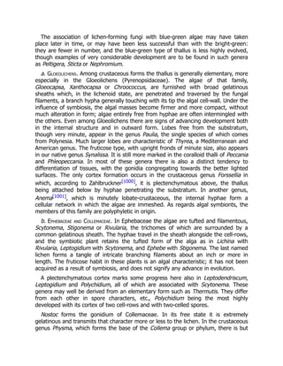 The association of lichen-forming fungi with blue-green algae may have taken
place later in time, or may have been less successful than with the bright-green:
they are fewer in number, and the blue-green type of thallus is less highly evolved,
though examples of very considerable development are to be found in such genera
as Peltigera, Sticta or Nephromium.
a. Gloeolichens. Among crustaceous forms the thallus is generally elementary, more
especially in the Gloeolichens (Pyrenopsidaceae). The algae of that family,
Gloeocapsa, Xanthocapsa or Chroococcus, are furnished with broad gelatinous
sheaths which, in the lichenoid state, are penetrated and traversed by the fungal
filaments, a branch hypha generally touching with its tip the algal cell-wall. Under the
influence of symbiosis, the algal masses become firmer and more compact, without
much alteration in form; algae entirely free from hyphae are often intermingled with
the others. Even among Gloeolichens there are signs of advancing development both
in the internal structure and in outward form. Lobes free from the substratum,
though very minute, appear in the genus Paulia, the single species of which comes
from Polynesia. Much larger lobes are characteristic of Thyrea, a Mediterranean and
American genus. The fruticose type, with upright fronds of minute size, also appears
in our native genus Synalissa. It is still more marked in the coralloid thalli of Peccania
and Phleopeccania. In most of these genera there is also a distinct tendency to
differentiation of tissues, with the gonidia congregating towards the better lighted
surfaces. The only cortex formation occurs in the crustaceous genus Forssellia in
which, according to Zahlbruckner[1000], it is plectenchymatous above, the thallus
being attached below by hyphae penetrating the substratum. In another genus,
Anema[1001], which is minutely lobate-crustaceous, the internal hyphae form a
cellular network in which the algae are immeshed. As regards algal symbionts, the
members of this family are polyphyletic in origin.
b. Ephebaceae and Collemaceae. In Ephebaceae the algae are tufted and filamentous,
Scytonema, Stigonema or Rivularia, the trichomes of which are surrounded by a
common gelatinous sheath. The hyphae travel in the sheath alongside the cell-rows,
and the symbiotic plant retains the tufted form of the alga as in Lichina with
Rivularia, Leptogidium with Scytonema, and Ephebe with Stigonema. The last named
lichen forms a tangle of intricate branching filaments about an inch or more in
length. The fruticose habit in these plants is an algal characteristic; it has not been
acquired as a result of symbiosis, and does not signify any advance in evolution.
A plectenchymatous cortex marks some progress here also in Leptodendriscum,
Leptogidium and Polychidium, all of which are associated with Scytonema. These
genera may well be derived from an elementary form such as Thermutis. They differ
from each other in spore characters, etc., Polychidium being the most highly
developed with its cortex of two cell-rows and with two-celled spores.
Nostoc forms the gonidium of Collemaceae. In its free state it is extremely
gelatinous and transmits that character more or less to the lichen. In the crustaceous
genus Physma, which forms the base of the Collema group or phylum, there is but
 