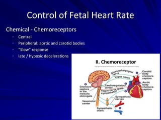 Chemical - Chemoreceptors
• Central
• Peripheral: aortic and carotid bodies
• “Slow” response
• late / hypoxic decelerations
Control of Fetal Heart Rate
 