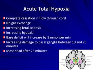 Acute Total Hypoxia
Complete cessation in flow through cord
No gas exchange
Increasing fetal acidosis
Increasing hypoxia
Base deficit will increase by 1 mmol per min
Increasing damage to basal ganglia between 10 and 25
minutes
Most dead after 25 minutes
 