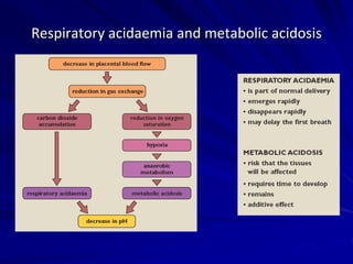 Respiratory acidaemia and metabolic acidosis
 