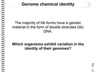 485 lec4 the_genome | PDF