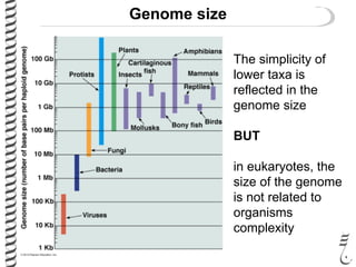 485 lec4 the_genome | PDF