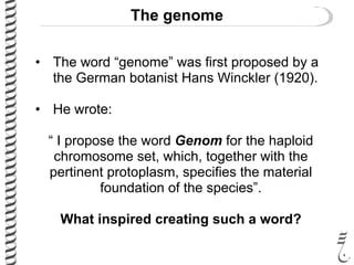 485 lec4 the_genome | PDF