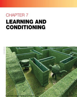 chapter 7_learning Learning in Psychology | PDF
