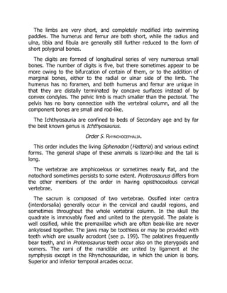 The limbs are very short, and completely modified into swimming
paddles. The humerus and femur are both short, while the radius and
ulna, tibia and fibula are generally still further reduced to the form of
short polygonal bones.
The digits are formed of longitudinal series of very numerous small
bones. The number of digits is five, but there sometimes appear to be
more owing to the bifurcation of certain of them, or to the addition of
marginal bones, either to the radial or ulnar side of the limb. The
humerus has no foramen, and both humerus and femur are unique in
that they are distally terminated by concave surfaces instead of by
convex condyles. The pelvic limb is much smaller than the pectoral. The
pelvis has no bony connection with the vertebral column, and all the
component bones are small and rod-like.
The Ichthyosauria are confined to beds of Secondary age and by far
the best known genus is Ichthyosaurus.
Order 5. Rhynchocephalia.
This order includes the living Sphenodon (Hatteria) and various extinct
forms. The general shape of these animals is lizard-like and the tail is
long.
The vertebrae are amphicoelous or sometimes nearly flat, and the
notochord sometimes persists to some extent. Proterosaurus differs from
the other members of the order in having opisthocoelous cervical
vertebrae.
The sacrum is composed of two vertebrae. Ossified inter centra
(interdorsalia) generally occur in the cervical and caudal regions, and
sometimes throughout the whole vertebral column. In the skull the
quadrate is immovably fixed and united to the pterygoid. The palate is
well ossified, while the premaxillae which are often beak-like are never
ankylosed together. The jaws may be toothless or may be provided with
teeth which are usually acrodont (see p. 199). The palatines frequently
bear teeth, and in Proterosaurus teeth occur also on the pterygoids and
vomers. The rami of the mandible are united by ligament at the
symphysis except in the Rhynchosauridae, in which the union is bony.
Superior and inferior temporal arcades occur.
 
