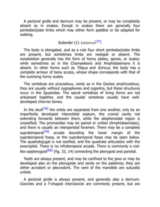 A pectoral girdle and sternum may be present, or may be completely
absent as in snakes. Except in snakes there are generally four
pentedactylate limbs which may either form paddles or be adapted for
walking.
Suborder (1). Lacertilia
[77].
The body is elongated, and as a rule four short pentedactylate limbs
are present, but sometimes limbs are vestigial or absent. The
exoskeleton generally has the form of horny plates, spines, or scales;
while sometimes as in the Chamaeleons and Amphisbaenians it is
absent. In other forms such as Tiliqua and Scincus, the body has a
complete armour of bony scutes, whose shape corresponds with that of
the overlying horny scales.
The vertebrae are procoelous, rarely as in the Geckos amphicoelous;
they are usually without zygosphenes and zygantra, but these structures
occur in the Iguanidae. The sacral vertebrae of living forms are not
ankylosed together, and the caudal vertebrae usually have well-
developed chevron bones.
In the skull[78] the orbits are separated from one another, only by an
imperfectly developed interorbital septum, the cranial cavity not
extending forwards between them, while the alisphenoidal region is
unossified. The premaxillae may be paired or united (Amphisbaenidae),
and there is usually an interparietal foramen. There may be a complete
supratemporal[79] arcade bounding the lower margin of the
supratemporal fossa, or the supratemporal fossa may be open below.
The quadratojugal is not ossified, and the quadrate articulates with the
exoccipital. There is no infratemporal arcade. There is commonly a rod-
like epipterygoid[80] (fig. 33, 14) connecting the pterygoid and parietal.
Teeth are always present, and may be confined to the jaws or may be
developed also on the pterygoids and rarely on the palatines; they are
either acrodont or pleurodont. The rami of the mandible are suturally
united.
A pectoral girdle is always present, and generally also a sternum.
Clavicles and a T-shaped interclavicle are commonly present, but are
 