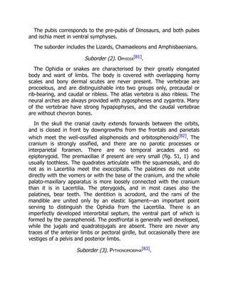 The pubis corresponds to the pre-pubis of Dinosaurs, and both pubes
and ischia meet in ventral symphyses.
The suborder includes the Lizards, Chamaeleons and Amphisbaenians.
Suborder (2). Ophidia
[81].
The Ophidia or snakes are characterised by their greatly elongated
body and want of limbs. The body is covered with overlapping horny
scales and bony dermal scutes are never present. The vertebrae are
procoelous, and are distinguishable into two groups only, precaudal or
rib-bearing, and caudal or ribless. The atlas vertebra is also ribless. The
neural arches are always provided with zygosphenes and zygantra. Many
of the vertebrae have strong hypapophyses, and the caudal vertebrae
are without chevron bones.
In the skull the cranial cavity extends forwards between the orbits,
and is closed in front by downgrowths from the frontals and parietals
which meet the well-ossified alisphenoids and orbitosphenoids[82]. The
cranium is strongly ossified, and there are no parotic processes or
interparietal foramen. There are no temporal arcades and no
epipterygoid. The premaxillae if present are very small (fig. 51, 1) and
usually toothless. The quadrates articulate with the squamosals, and do
not as in Lacertilia meet the exoccipitals. The palatines do not unite
directly with the vomers or with the base of the cranium, and the whole
palato-maxillary apparatus is more loosely connected with the cranium
than it is in Lacertilia. The pterygoids, and in most cases also the
palatines, bear teeth. The dentition is acrodont, and the rami of the
mandible are united only by an elastic ligament—an important point
serving to distinguish the Ophidia from the Lacertilia. There is an
imperfectly developed interorbital septum, the ventral part of which is
formed by the parasphenoid. The postfrontal is generally well developed,
while the jugals and quadratojugals are absent. There are never any
traces of the anterior limbs or pectoral girdle, but occasionally there are
vestiges of a pelvis and posterior limbs.
Suborder (3). Pythonomorpha
[83].
 