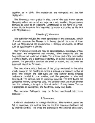 together, as in birds. The metatarsals are elongated and the feet
digitigrade.
The Theropoda vary greatly in size, one of the best known genera
Compsognathus was about as large as a cat, another, Megalosaurus,
perhaps as large as an elephant. Ceratosaurus is the name of a well-
known North American form regarded by many authorities as identical
with Megalosaurus.
Suborder (3). Orthopoda.
This suborder includes the most specialised of the Dinosaurs, certain
of which resemble the Theropoda in being bipedal. In some of them
such as Stegosaurus the exoskeleton is strongly developed, in others
such as Iguanodon it is absent.
The vertebrae are solid and may be opisthocoelous, biconcave, or flat.
The teeth are compressed and serrated, often irregularly, and are
frequently not set in distinct sockets. The anterior part of the premaxillae
is without teeth, and a toothless predentary or mento-meckelian bone is
present. The pre-orbital vacuities are small or absent, and the nares are
large and placed far forwards.
The most characteristic features of the group are found in the pelvis
which, except in the Ceratopsia, bears a striking resemblance to that of
birds. The ischium and post-pubis are long slender bones directed
backwards parallel to one another, and the pre-pubis is also well
developed. The ischium has an obturator process. The limb bones are
sometimes hollow, sometimes solid. The anterior limbs are much shorter
than the posterior, pointing to a bipedal method of progression. The pes
is digitigrade or plantigrade, and has three, rarely four, digits.
The suborder Orthopoda may be further subdivided into three
sections:—
A. Stegosauria.
A dermal exoskeleton is strongly developed. The vertebral centra are
flat or biconcave, and neither they nor the limb bones are hollowed out
by internal cavities. The limbs are plantigrade, the anterior ones short,
 