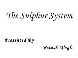 The Sulphur System Presented By Hitesh Wagle 