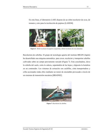 Memoria Descriptiva 15 
En esta línea, el laboratorio LASE dispone de un robot recolector de uvas, de 
tomates y otro para la recolección de pepinos [LASE04]. 
Figura 6 - Robot recolector de pepinos (izquierda) y Robot recolector de uvas (derecha). 
Recolectora de cebollas. El grupo de tecnología agraria del instituto BRAIN (Japón) 
ha desarrollado una máquina automática para cavar, recolectar y transportar cebollas 
cultivadas sobre un campo previamente surcado (Figura 7). Esta cosechadora, eleva 
la cebolla del suelo, corta la cabeza, separándola de las hojas y deposita la hortaliza 
en un contenedor. Los sistemas de actuación son cuchillas, cinta transportadora y 
criba accionados todas ellos mediante un motor de encendido provocado a través de 
un sistemas de transmisión mecánica [BRAIN02]. 
Figura 7- Recolector de cebollas. 
Escuela Técnica Superior de Ingeniería ICAI - MEMORIA - 
 
