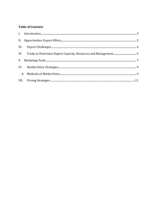 Export Plan | DOCX