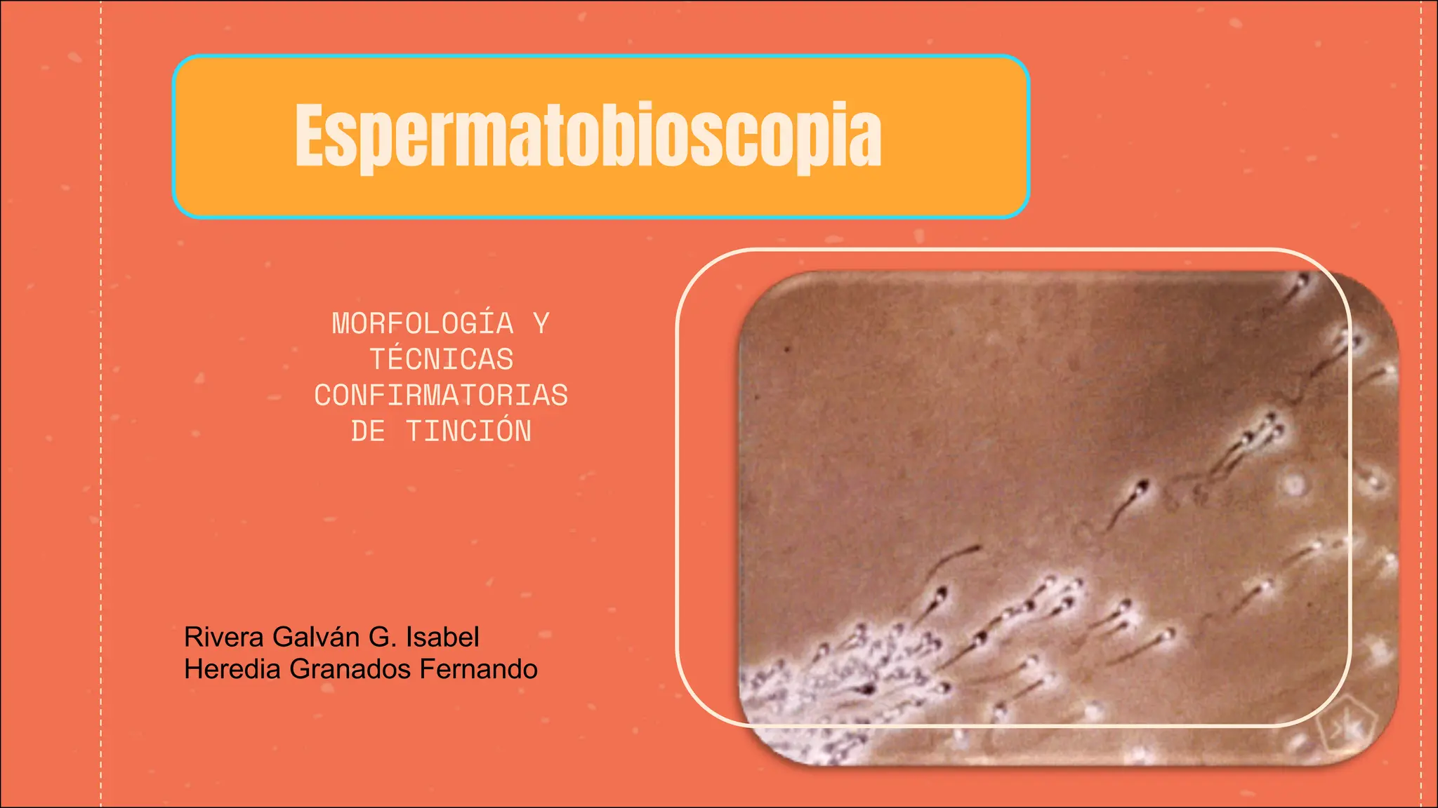 espermatobioscopia biologia fluidos corporales | PDF