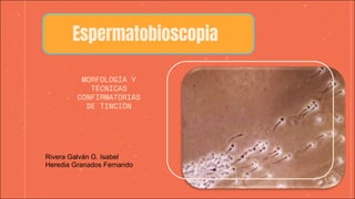 Espermatobioscopia
MORFOLOGÍA Y
TÉCNICAS
CONFIRMATORIAS
DE TINCIÓN
Rivera Galván G. Isabel
Heredia Granados Fernando
 