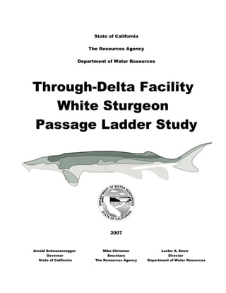 State of California
The Resources Agency
Department of Water Resources
Through-Delta Facility
White Sturgeon
Passage Ladder Study
2007
Arnold Schwarzenegger Mike Chrisman Lester A. Snow
Governor Secretary Director
State of California The Resources Agency Department of Water Resources
 