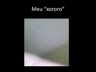 Meu “xororo”

 
