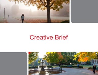 Creative Brief
 