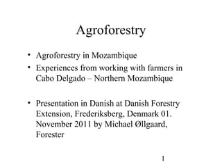 1
Agroforestry
• Agroforestry in Mozambique
• Experiences from working with farmers in
Cabo Delgado – Northern Mozambique
• Presentation in Danish at Danish Forestry
Extension, Frederiksberg, Denmark 01.
November 2011 by Michael Øllgaard,
Forester
 