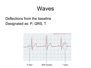 Downward Deflection basic principles of cardiovasctular system | PPT