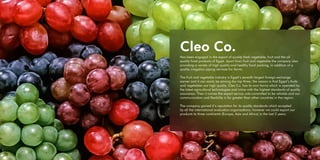 CleoCo | PDF