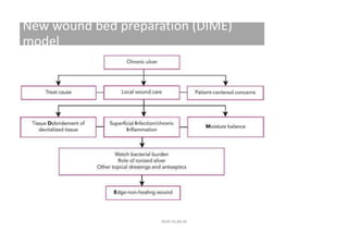 New wound bed preparation (DIME)
model
4020-35,80,36
 