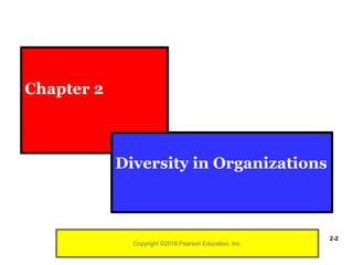 Copyright ©2016 Pearson Education, Inc.
Chapter 2
Diversity in Organizations
2-2
 