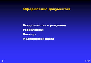 © ИЭА3
Свидетельство о рождении
Родословная
Паспорт
Медицинская карта
Оформление документов
 