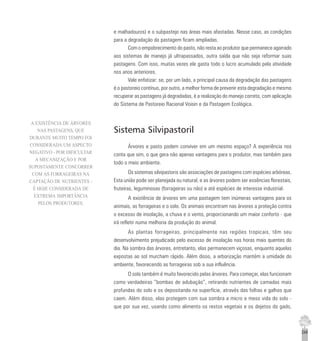 249
e malhadouros) e o subpastejo nas áreas mais afastadas. Nesse caso, as condições
para a degradação da pastagem ficam ampliadas.
Com o empobrecimento do pasto, não resta ao produtor que permanece agarrado
aos sistemas de manejo já ultrapassados, outra saída que não seja reformar suas
pastagens. Com isso, muitas vezes ele gasta todo o lucro acumulado pela atividade
nos anos anteriores.
Vale enfatizar: se, por um lado, a principal causa da degradação das pastagens
é o pastoreio contínuo, por outro, a melhor forma de prevenir esta degradação e mesmo
recuperar as pastagens já degradadas, é a realização do manejo correto, com aplicação
do Sistema de Pastoreio Racional Voisin e da Pastagem Ecológica.
Sistema Silvipastoril
Árvores e pasto podem conviver em um mesmo espaço? A experiência nos
conta que sim, o que gera não apenas vantagens para o produtor, mas também para
todo o meio ambiente.
Os sistemas silvipastoris são associações de pastagens com espécies arbóreas.
Esta união pode ser planejada ou natural, e as árvores podem ser essências florestais,
fruteiras, leguminosas (forrageiras ou não) e até espécies de interesse industrial.
A existência de árvores em uma pastagem tem inúmeras vantagens para os
animais, as forrageiras e o solo. Os animais encontram nas árvores a proteção contra
o excesso de insolação, a chuva e o vento, proporcionando um maior conforto - que
irá refletir numa melhoria da produção do animal.
As plantas forrageiras, principalmente nas regiões tropicais, têm seu
desenvolvimento prejudicado pelo excesso de insolação nas horas mais quentes do
dia. Na sombra das árvores, entretanto, elas permanecem viçosas, enquanto aquelas
expostas ao sol murcham rápido. Além disso, a arborização mantém a umidade do
ambiente, favorecendo as forrageiras sob a sua influência.
O solo também é muito favorecido pelas árvores. Para começar, elas funcionam
como verdadeiras “bombas de adubação”, retirando nutrientes de camadas mais
profundas do solo e os depositando na superfície, através das folhas e galhos que
caem. Além disso, elas protegem com sua sombra a micro e meso vida do solo -
que por sua vez, usando como alimento os restos vegetais e os dejetos do gado,
A EXISTÊNCIA DE ÁRVORES
NAS PASTAGENS, QUE
DURANTE MUITO TEMPO FOI
CONSIDERADA UM ASPECTO
NEGATIVO - POR DIFICULTAR
A MECANIZAÇÃO E POR
SUPOSTAMENTE CONCORRER
COM AS FORRAGEIRAS NA
CAPTAÇÃO DE NUTRIENTES -
É HOJE CONSIDERADA DE
EXTREMA IMPORTÂNCIA
PELOS PRODUTORES.
 